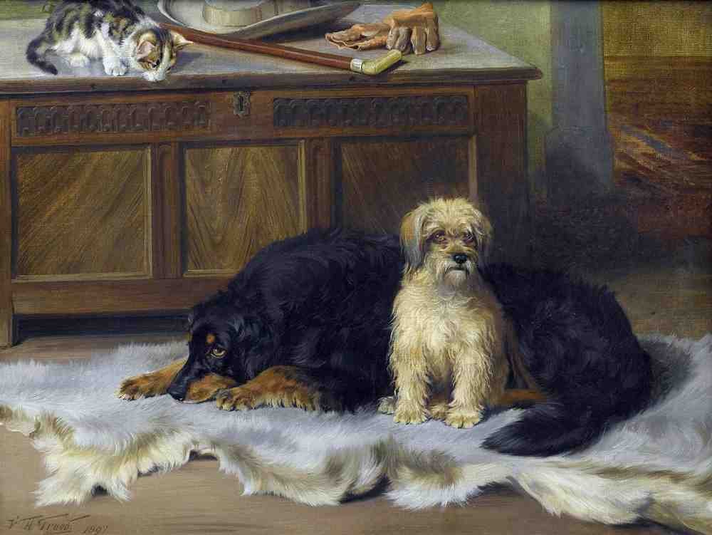 Illustrated Dog Book 2 177 Vintage Illustration A4 Photo Print