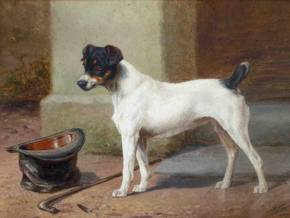 Illustrated Dog Book 2 178 Vintage Illustration A4 Photo Print