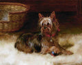 Illustrated Dog Book 2 179 Vintage Illustration A4 Photo Print