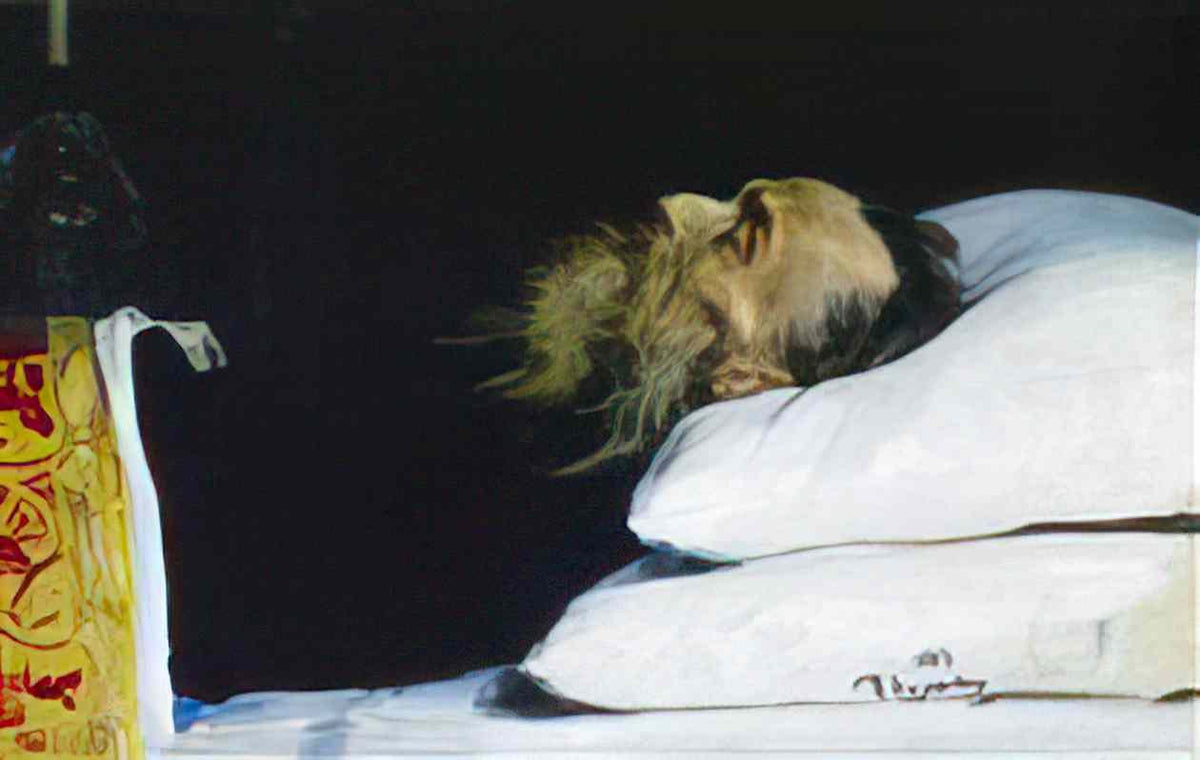 Ilya Repin historian nikolai kostomarov in a coffin 1885 Art A4 Photo Print
