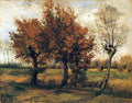 Image 007 Art A4 Photo Print