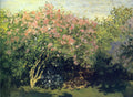 Image 205 Art A4 Photo Print