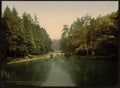 In Zeister Wood Utrecht Holland Vintage A4 Photo Print