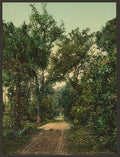 In the Ormond Hammock Vintage A4 Photo Print
