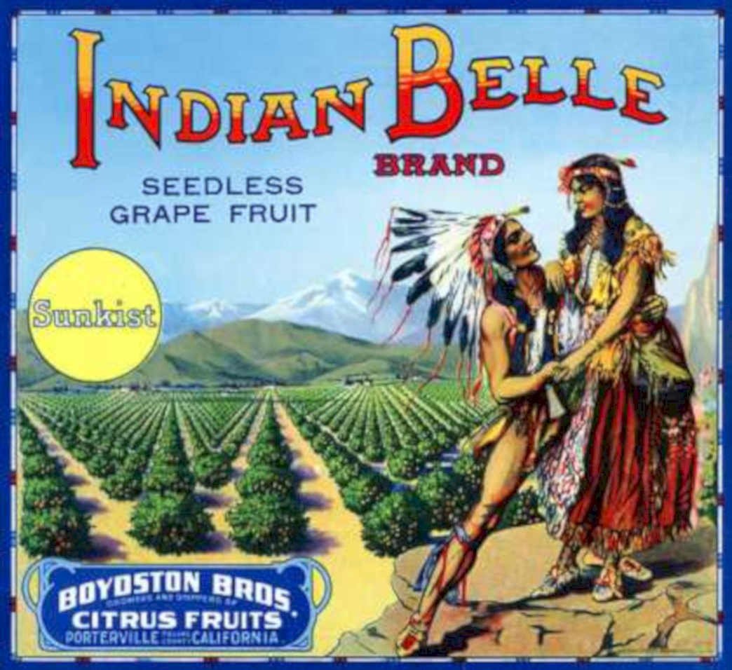 Indian Belle Grapefruit Vintage Retro Advert Ads A4 Photo Print
