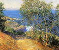 Indian Tobacco Trees La Jolla 1915 16 A4 Photo Print