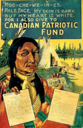 Indigenous Fund Poster Vintage Retro Advert Ads A4 Photo Print