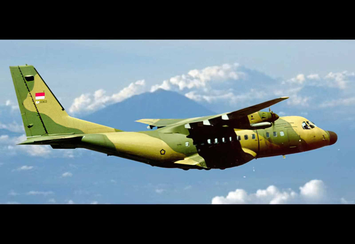 Indonesian Aerospace N245 Military Transport Aircraft Indonesia A4 Photo Print