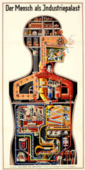 Industrial Palace Anatomy Vintage Retro Advert Poster A4 Photo Print