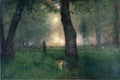 Inness George The Trout Brook A4 Photo Print
