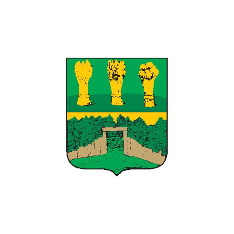 Insar1781 City Coat Of Arms N636 A4 Photo Print