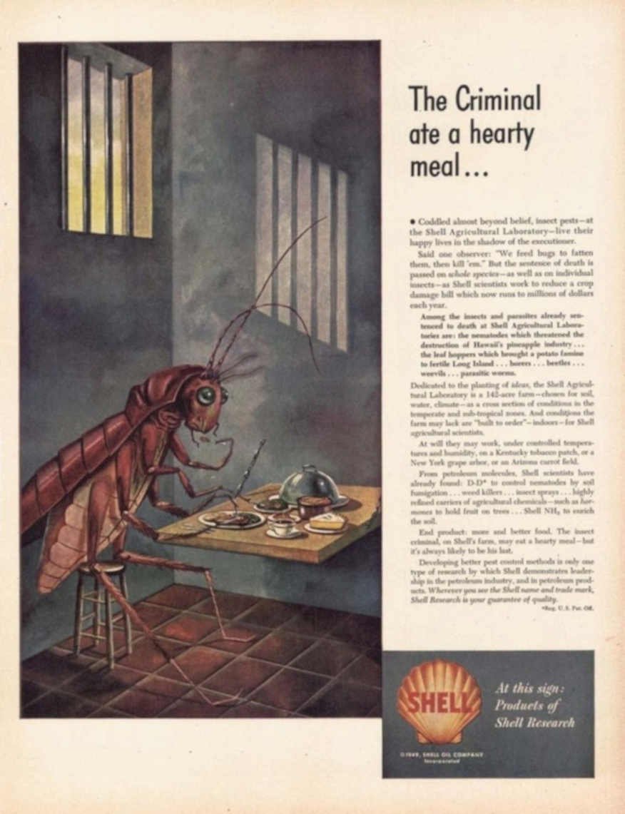 Insect Meal Shell 2 Vintage Retro Advert Ads A4 Photo Print