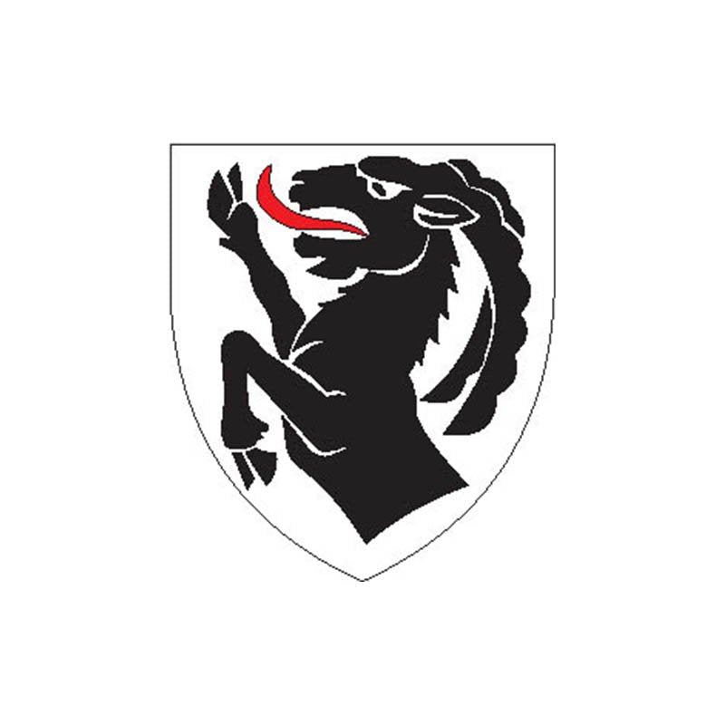 Interlaken Dist Coat Of Arms N4271 A4 Photo Print