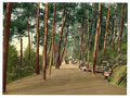 Invalids walk Bournemouth Vintage A4 Photo Print