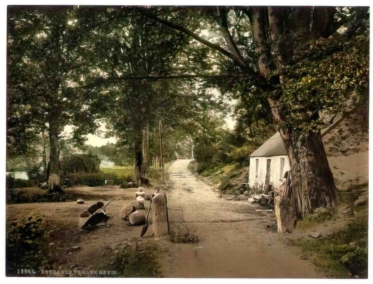 Invernessshire Entrance to Glen Nevis 1900s Vintage A4 Photo Print