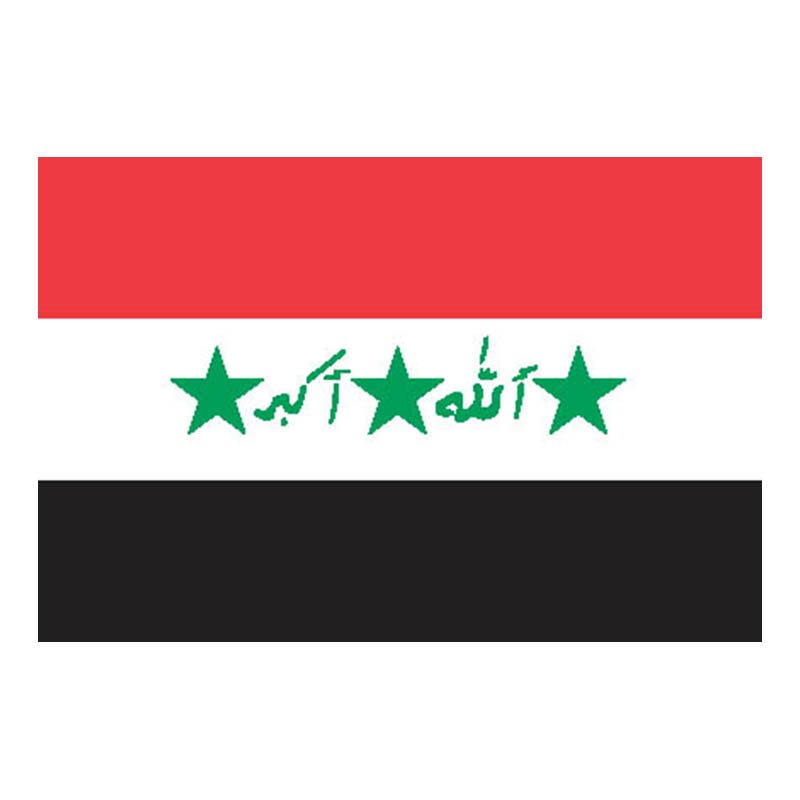 Iraq1991 Flag N1256 A4 Photo Print