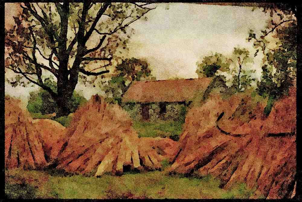 Ireland 385013 Shocks In A Field A4 Limited Edition Watercolour Print