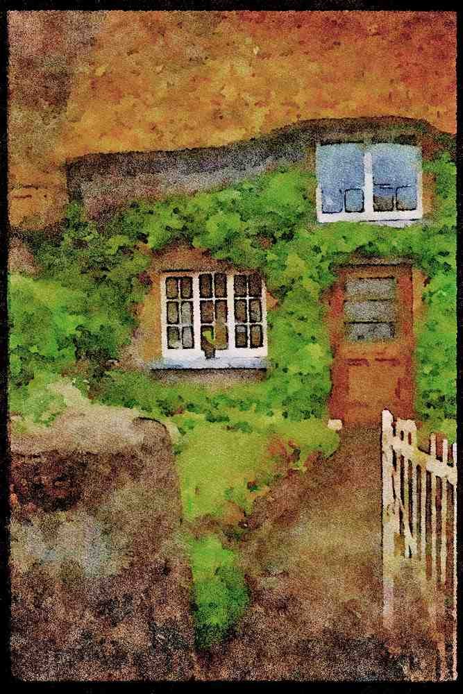 Ireland 385029 Adare House, Door And Windows A4 Limited Edition Watercolour Print