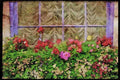 Ireland 385036 Colorful Flowerbox A4 Limited Edition Watercolour Print