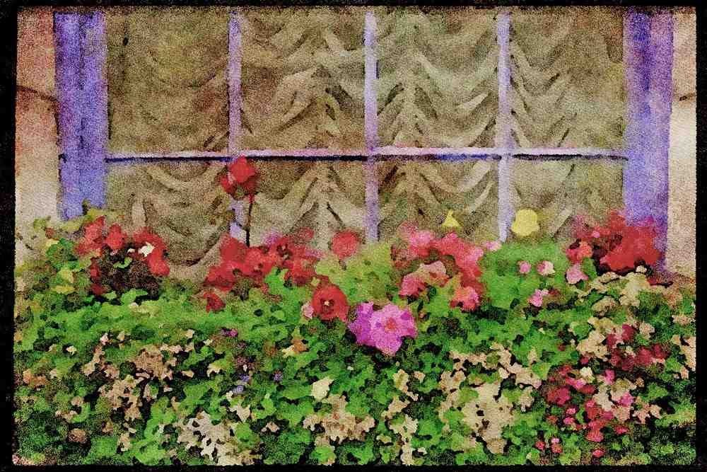 Ireland 385036 Colorful Flowerbox A4 Limited Edition Watercolour Print