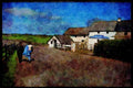 Ireland 385042 A Day Out A4 Limited Edition Watercolour Print