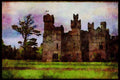 Ireland 385057 Ashford Castle, County Galway A4 Limited Edition Watercolour Print