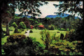 Ireland 385062 A Beautiful Garden View A4 Limited Edition Watercolour Print