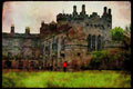 Ireland 385067 Kilkenny Castle A4 Limited Edition Watercolour Print