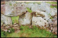 Ireland 385072 Cheevykeel Court Tomb, Bundoran A4 Limited Edition Watercolour Print
