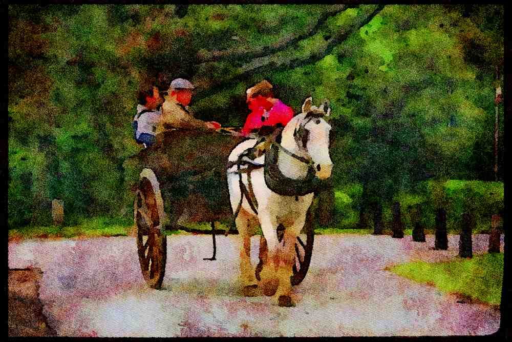 Ireland 385095 Jaunting Cart, Muckross Estate A4 Limited Edition Watercolour Print