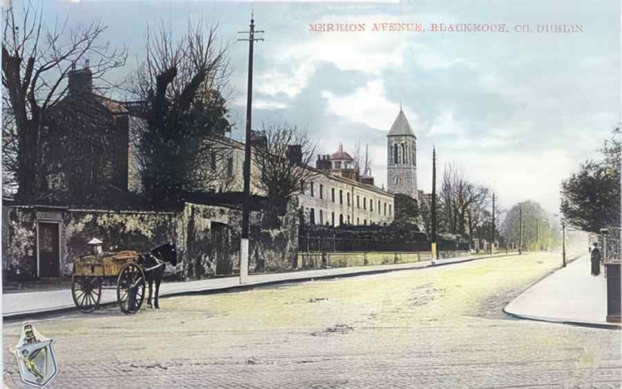 Ireland Blackrock Merrion Ave A4 Photo Print