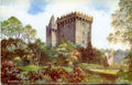 Ireland Blarney Castle2 A4 Photo Print