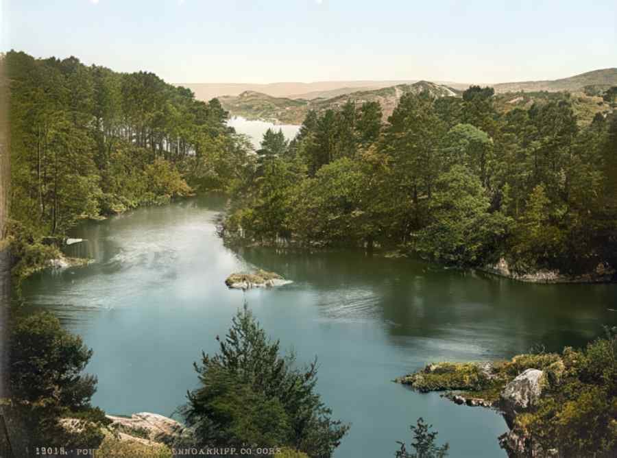 Ireland Co.Cork Glengarriff A4 Photo Print