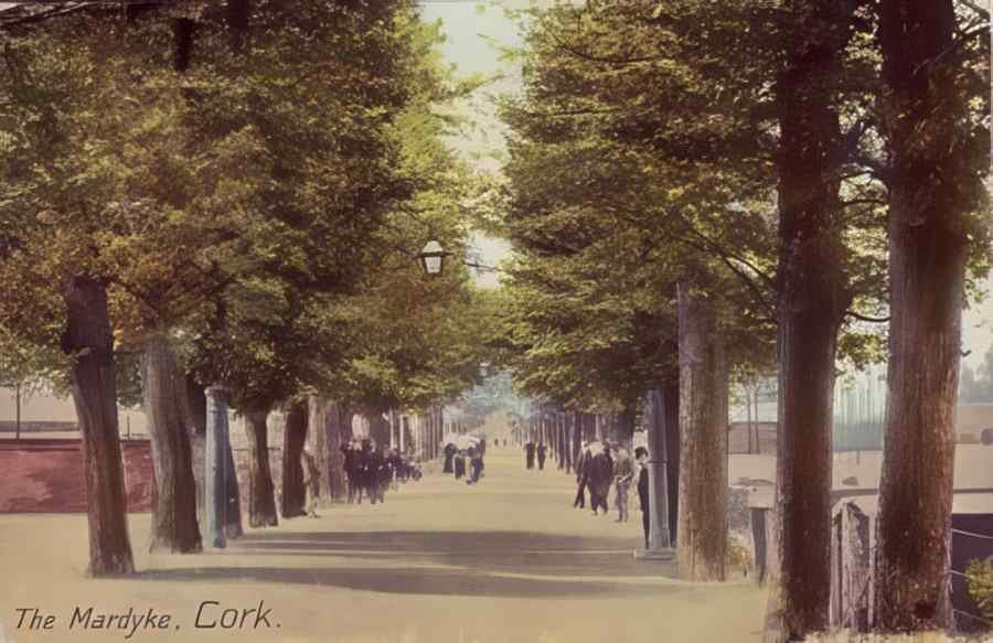 Ireland Cork The Mardyke A4 Photo Print