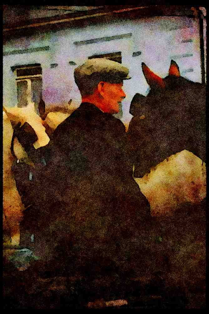 Ireland Emerald Isle 017008 Horse Trader, Dingle A4 Limited Edition Watercolour Print