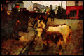 Ireland Emerald Isle 017016 Horse Traders, Dingle A4 Limited Edition Watercolour Print