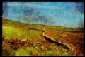 Ireland Emerald Isle 017037 Dingle Peninsula A4 Limited Edition Watercolour Print