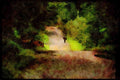 Ireland Emerald Isle 017038 Wicklow Mountain Road Scene A4 Limited Edition Watercolour Print