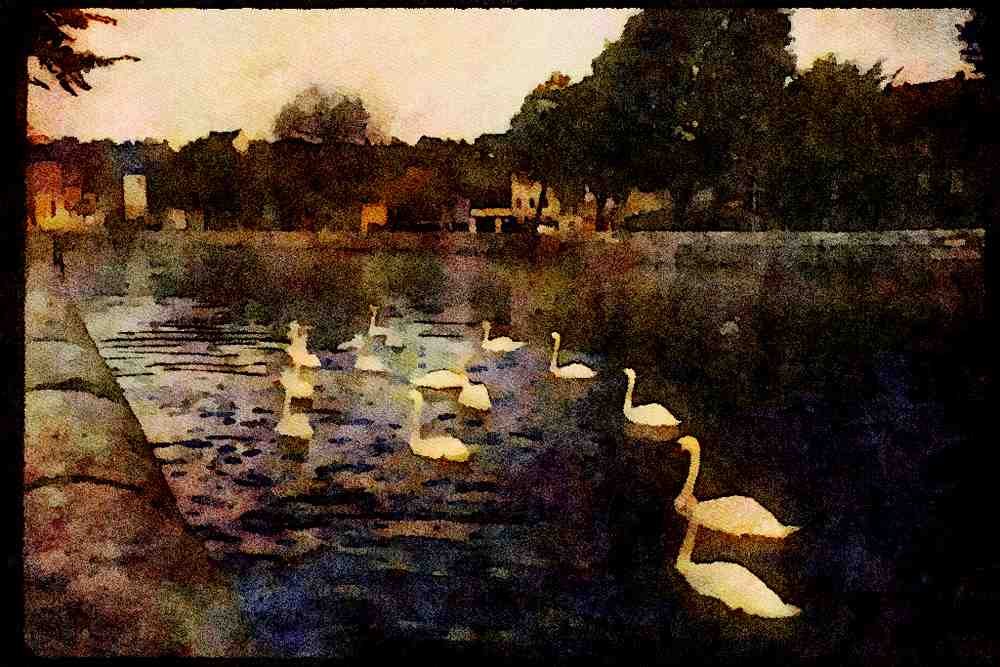 Ireland Emerald Isle 017081 Swans In The Canal, Cork A4 Limited Edition Watercolour Print