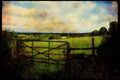 Ireland Emerald Isle 017090 Gate To Fields, Wicklow Mountains A4 Limited Edition Watercolour Print