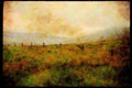 Ireland Emerald Isle 017093 Fields, Wicklow Mountains A4 Limited Edition Watercolour Print