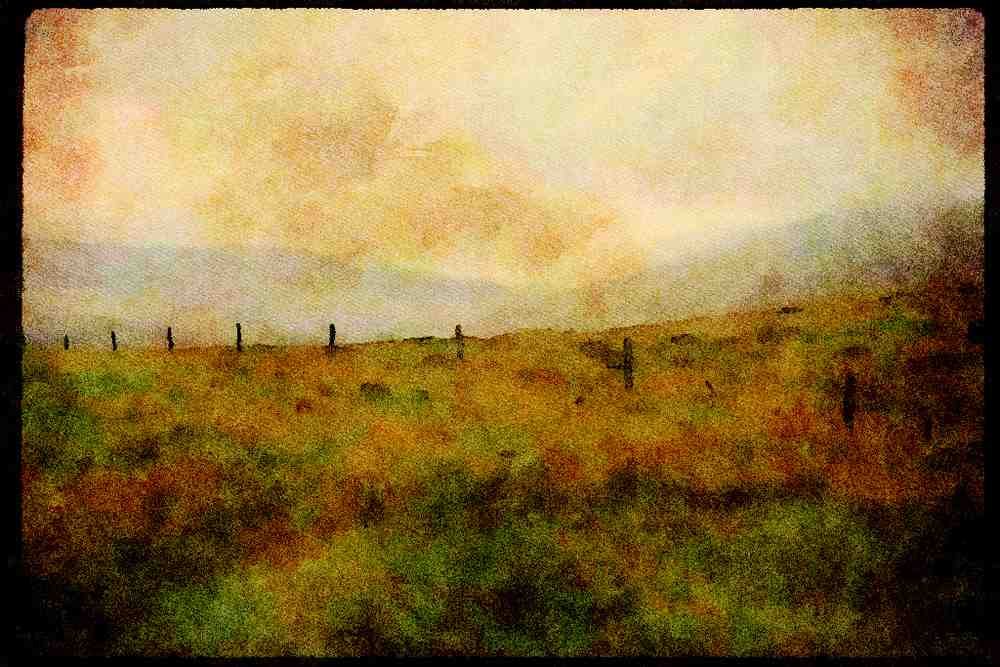 Ireland Emerald Isle 017093 Fields, Wicklow Mountains A4 Limited Edition Watercolour Print