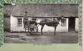 Ireland Irish Jaunting Car 1900s Vintage A4 Photo Print