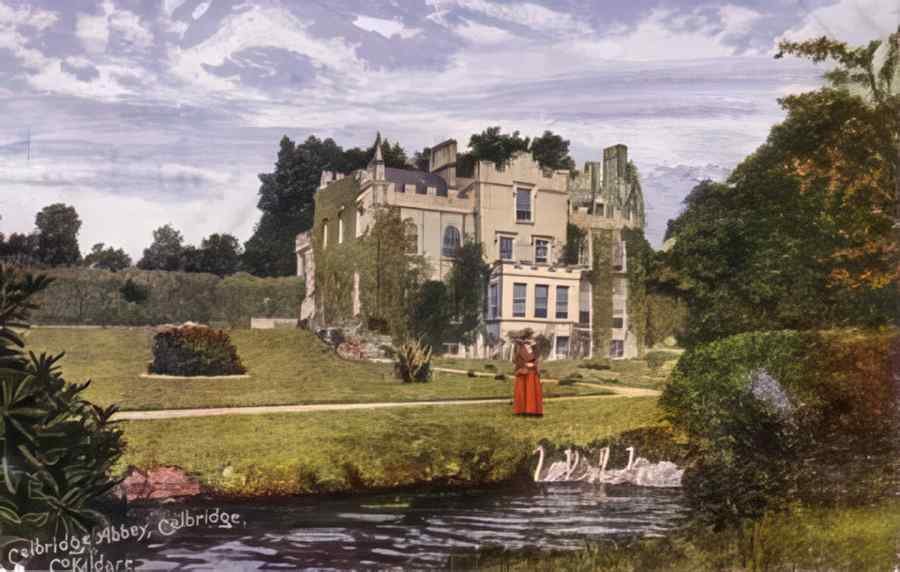 Ireland Kildare Celbridge Abbey A4 Photo Print