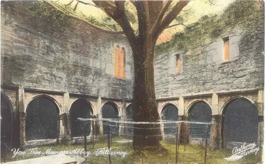 Ireland Killarney Muckross Abbey Cloisters A4 Photo Print