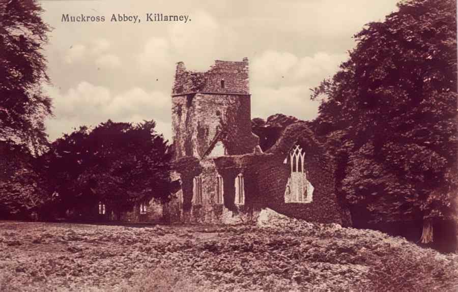 Ireland Killarney Muckross Abbey A4 Photo Print