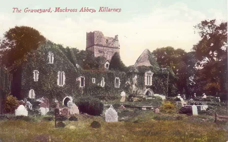Ireland Killarney The Graveyard Muckross Abbey A4 Photo Print