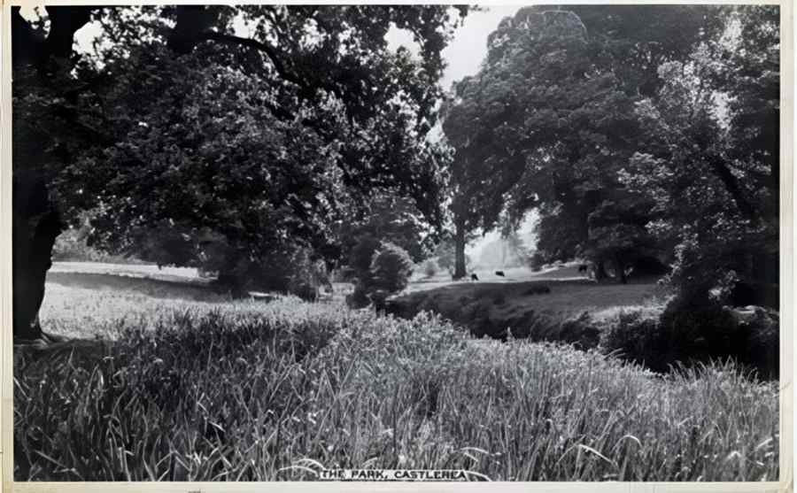Ireland Roscommon The Park Castlerea 1930 A4 Photo Print