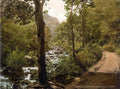 Ireland Wicklow Devils Glen A4 Photo Print