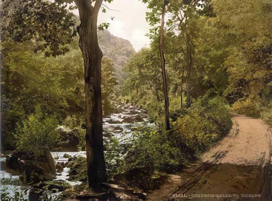 Ireland Wicklow Devils Glen A4 Photo Print